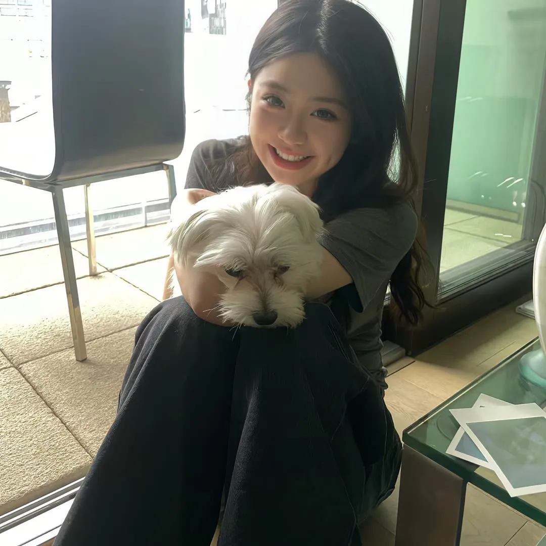 恶搞之家第十三季